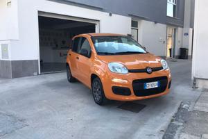 Fiat Panda 1.2 Easy 2020 SOLO 31MILA KM NUOVA