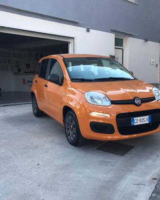 Fiat Panda 1.2 Easy 2020 SOLO 31MILA KM NUOVA