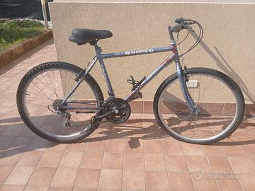 mountain bike vari modelli