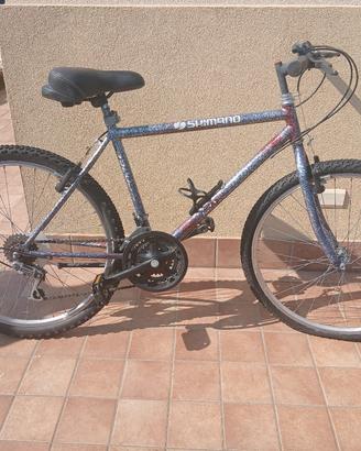 mountain bike vari modelli