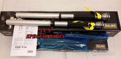 Kawasaki zx 10 r 2011-15 cartucce fork ohlins nix