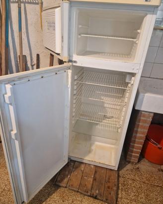 Frigo