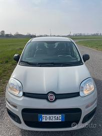 fiat panda auto 