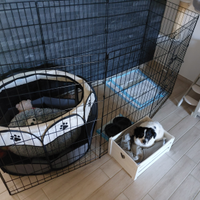 Recinto per cani e animali
