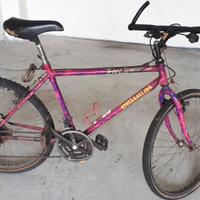 Mountain bike - Stella alpina- Free climber