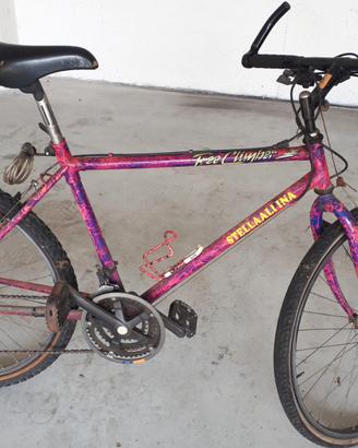 Mountain bike - Stella alpina- Free climber