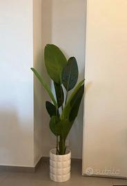 pianta finta banano 160cm