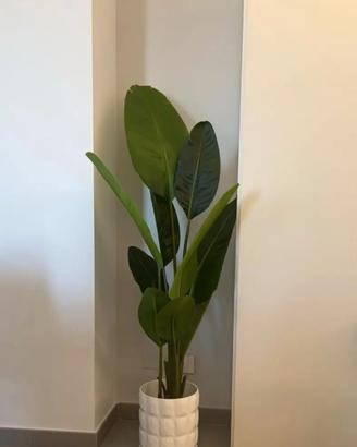 pianta finta banano 160cm