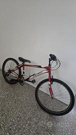 mountain bike  bimbo 