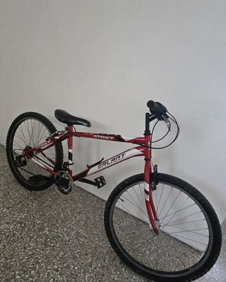 mountain bike  bimbo 