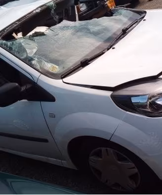 RICAMBI RENAULT CAPTUR KADJAR TRAFIC CLIO MEGANE