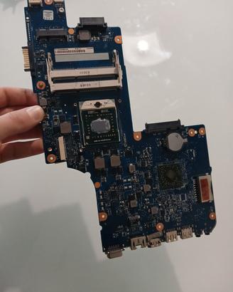 Scheda madre per Toshiba satellite e L800/C800