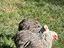Immagine 2