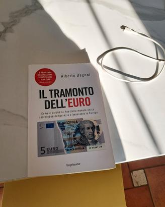 il tramonto dell'euro