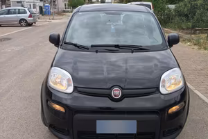 Panda 