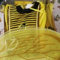 vestito carnevale Regina delle api 