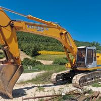 Escavatore cingolato FH300