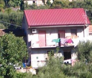 RGE 12/2010 Trib Patti