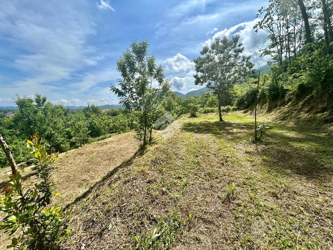 TER. AGRICOLO A CERVINARA - Vista 4
