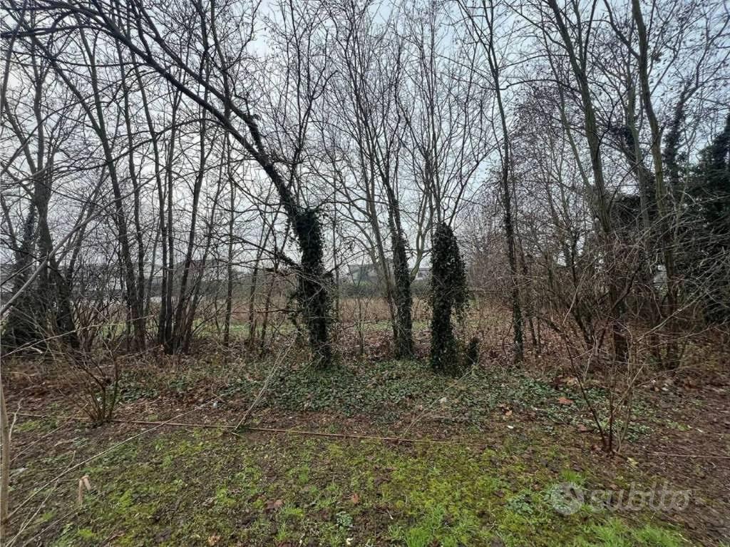 Immobile in asta di 3033 m² a Sanza - Vista 3