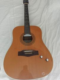Chitarra Acustica Eko Ranger 6  