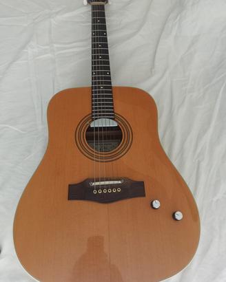 Chitarra Acustica Eko Ranger 6  
