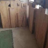 TAVOLE LEGNO DI ULIVO. CENT. 