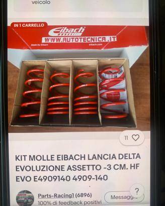 Molle hf integrale evo 1