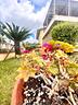 porzione-di-villa-indipendente-con-giardino