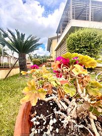 Porzione di villa indipendente con giardino