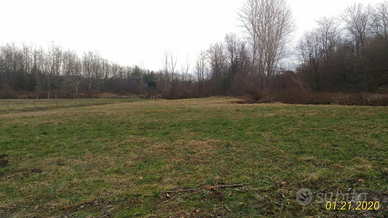 Terreno agricolo adatto per posa arnie, frutteto