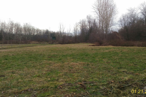 Terreno agricolo adatto per posa arnie, frutteto