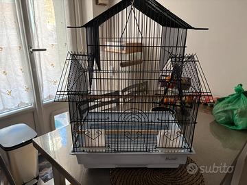 Gabbie per uccelli