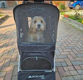 passeggino cani