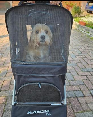 passeggino cani
