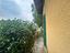 Immagine 22