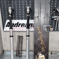 CARTUCCIA FORCELLA OHLINS NIX30 YAMAHA R1 20-24