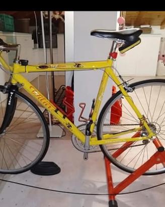 Wilier triestina Pantani