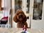 Immagine 4