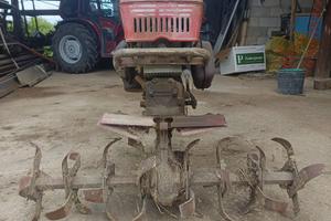 Motozappa benassi bl 75
