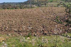 Terreno bauladu oristano