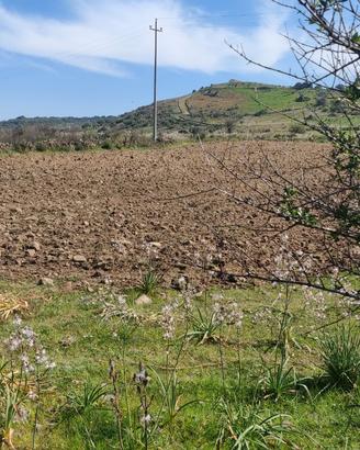 Terreno bauladu oristano