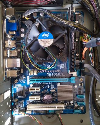Scheda madre GIGABYTE GA-B75M-HD3