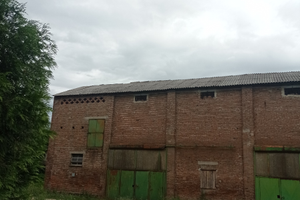 Casa colonica con rustici con parco di 5mila mq