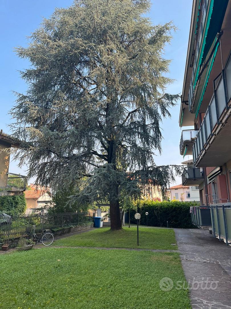 Appartamento – BG - Vista 2