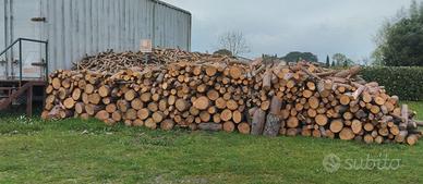 Legna di pino da ardere