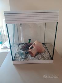 acquario askoll pure LED 44 lt