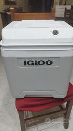 frigo elettrico IGLOO  12 / 230v