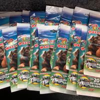 Figurine cucciolotti 12 blister pizzardi