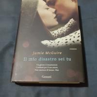 Il mio disastro sei tu. Romanzo.